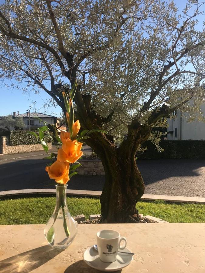 Purlilium Porcia